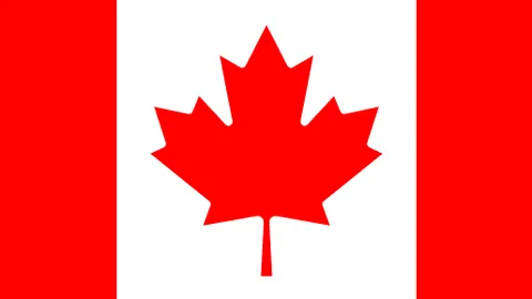 湖人近五战触球数据公布：东契奇领先，里夫斯紧随其后获50赞192评论